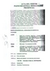 Vista preliminar de documento XXXIII-PLENO-TR-SUNARP