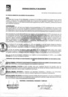 Vista preliminar de documento Ordenanza Municipal Nº 300-2020-MDSB.pdf
