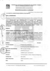 Vista preliminar de documento Resolución de Alcaldía Nº 173-2020-MDSB.pdf