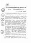 Vista preliminar de documento 6878604_RER-195-20