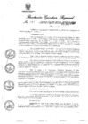 Vista preliminar de documento 63828_RER-192-20