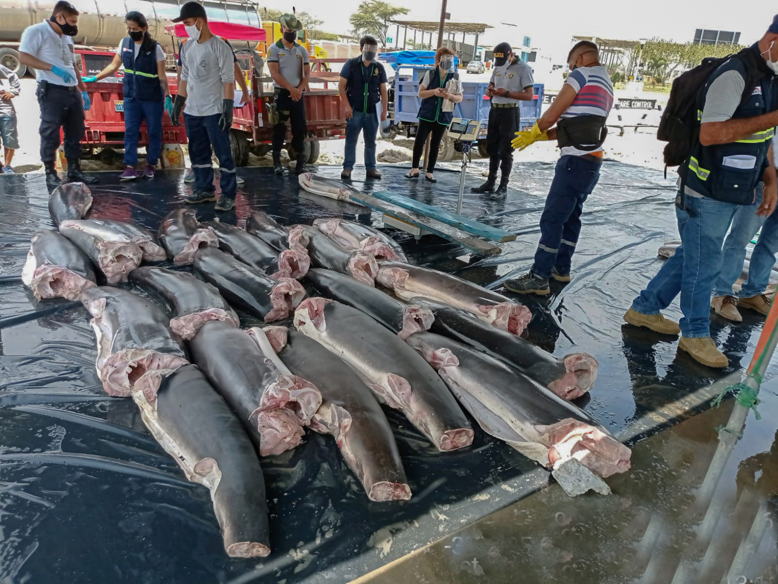 Peru noticias