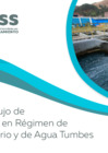 Vista preliminar de documento 1. Informe sobre el flujo de caja de las EPS OTASS (jul 2020)