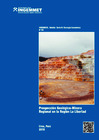Vista preliminar de documento Portada_B_55.pdf