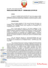 Vista preliminar de documento RD Nº D000096-2020-DE.pdf