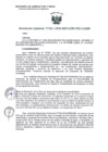 Vista preliminar de documento R.J. 162-2020-MINAGRI-PSI-UGIRD.pdf