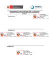 Vista preliminar de documento RPE 071-COMUNICACIONES