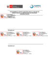 Vista preliminar de documento RPE 072-IMPORTACION