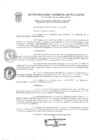 Vista preliminar de documento Resolución de Alcaldía  56-2019
