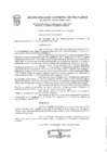 Vista preliminar de documento Resolución de Alcaldía  100-2019