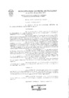 Vista preliminar de documento Resolución de Alcaldía  114-2019