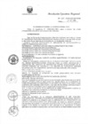 Vista preliminar de documento R.E.R. Nro 335-2020-GR-GR PUNO.pdf