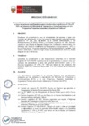 Vista preliminar de documento Directiva N° 008-2020-MTC/01