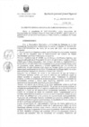 Vista preliminar de documento R.G.G.R. Nro. 136-2020-GGR-GR PUNO.pdf