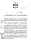 Vista preliminar de documento RJ 166-2020-ANA
