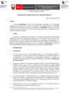 Vista preliminar de documento Resolución