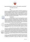 Vista preliminar de documento RGR N° 014 2020 GRLL GGR GRCTPIP.pdf