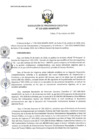 Vista preliminar de documento res_PE_119_2020