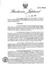 Vista preliminar de documento 2013