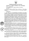 Vista preliminar de documento ac_25_2014.pdf