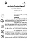 Vista preliminar de documento RER 339