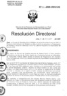 Vista preliminar de documento Resolucion de Dirección General