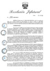 Vista preliminar de documento RJ Nº 284-2020.pdf