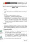 Vista preliminar de documento Anexo N° 133-2020-DV-GG.pdf