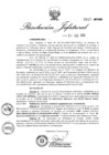 Vista preliminar de documento 2013