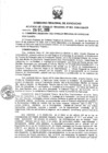 Vista preliminar de documento ac_084_2009.pdf