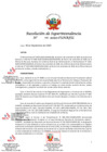 Vista preliminar de documento Resolución de Superintendencia