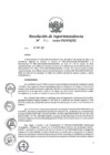 Vista preliminar de documento Resolución de Superintendencia