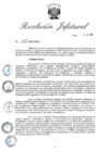 Vista preliminar de documento RJ Nº 257-2020.pdf