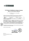 Vista preliminar de documento Ver constancia