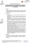 Vista preliminar de documento Directiva 002-2020-EF/54.01
