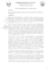 Vista preliminar de documento Acuerdo Regional