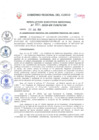 Vista preliminar de documento Resolución Ejecutiva Regional