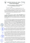 Vista preliminar de documento Resolución de Gerencia General