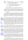 Vista preliminar de documento Resolución de Gerencia General