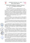 Vista preliminar de documento Resolución de Gerencia General