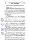 Vista preliminar de documento Resolución de Gerencia General