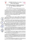 Vista preliminar de documento Resolución de Gerencia General