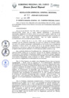 Vista preliminar de documento Resolución de Gerencia General