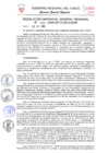 Vista preliminar de documento Resolución de Gerencia General