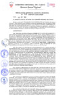 Vista preliminar de documento Resolución de Gerencia General