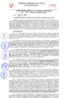 Vista preliminar de documento Resolución de Gerencia General