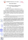 Vista preliminar de documento Resolución de Gerencia General