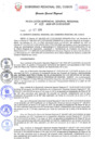 Vista preliminar de documento Resolución de Gerencia General