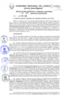 Vista preliminar de documento Resolución de Gerencia General