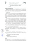 Vista preliminar de documento Resolución Directoral Regional